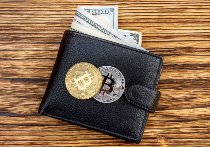 cheapest cryptocurrency wallet