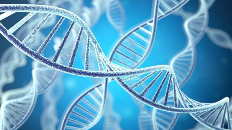 Difference Between DNA and RNA