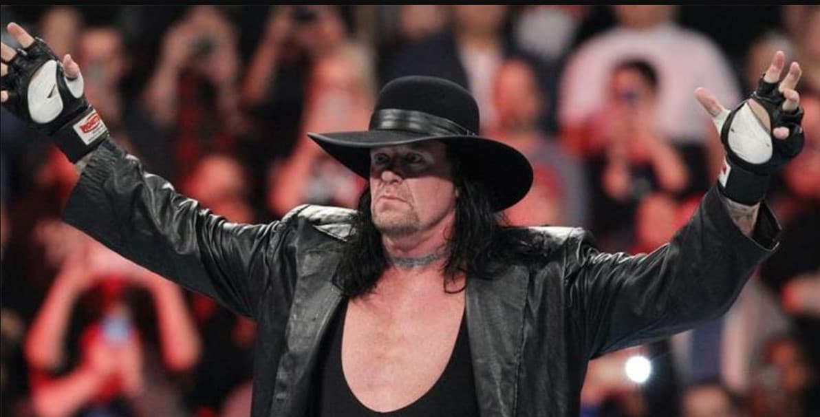 WWE Undertaker: Deadman returns to the ring of WWE, picks ...