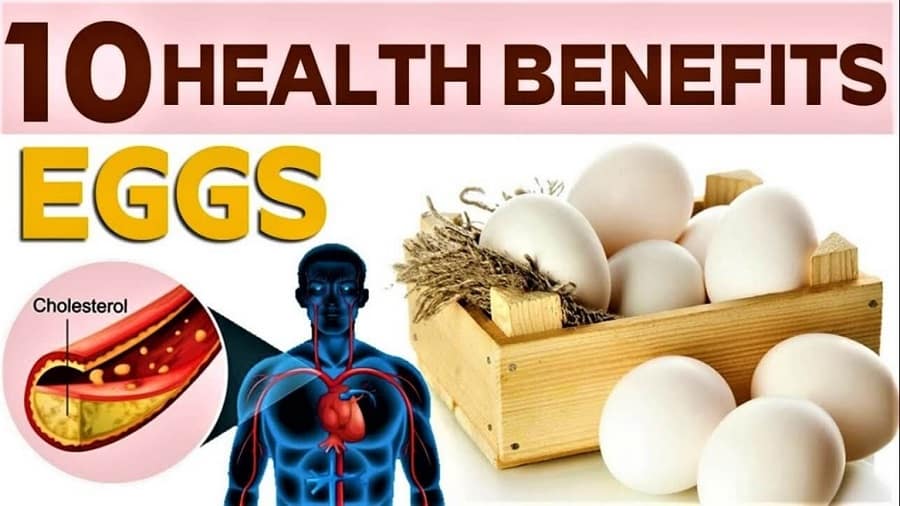 The Amazing Health Benefits Of Eating 3 Eggs Every Day Based On Scientific Studies - i8xrzol