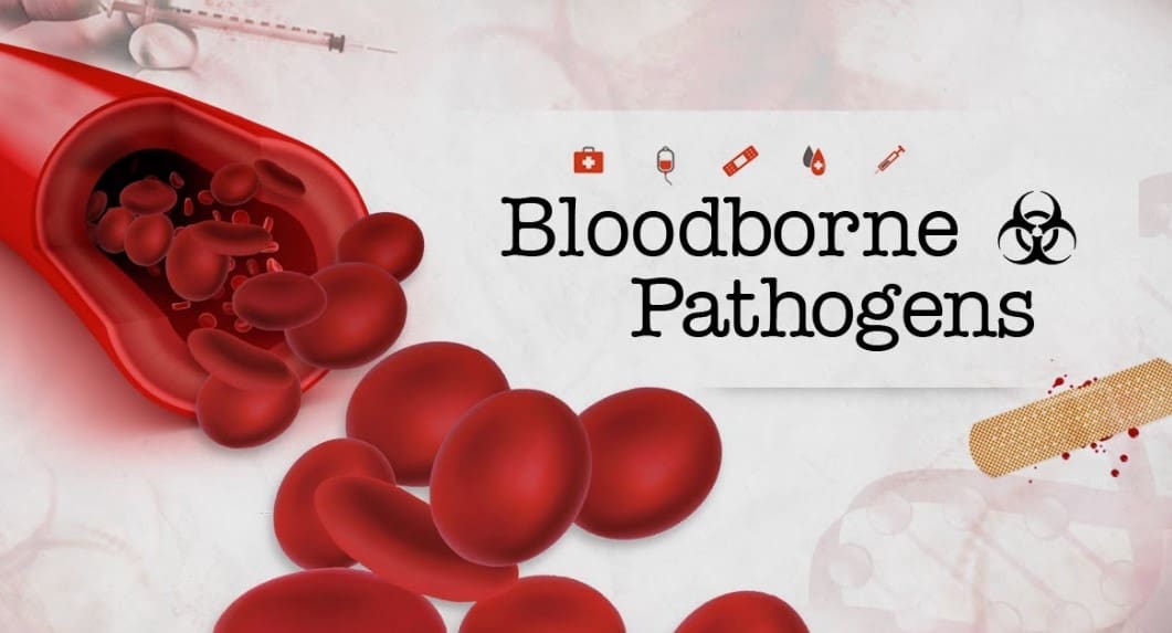 What You Need to Know About the OSHA Bloodborne Pathogens Standard