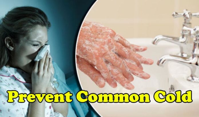 Ways to Prevent the Common Cold