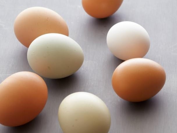 slow-digesting-egg-protein