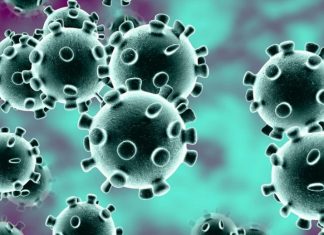 What is the Coronavirus and Symptoms, Death Rate What is the Coronavirus