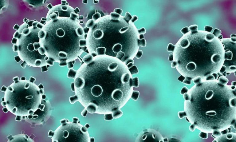 What is the Coronavirus