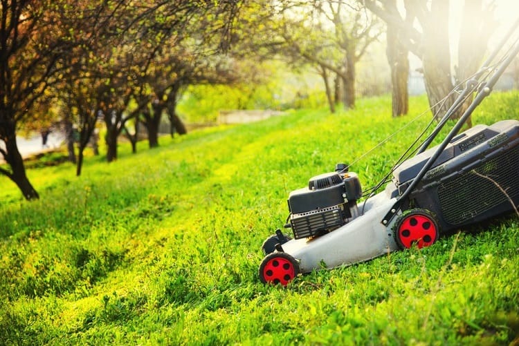 Cut Grass On Hill