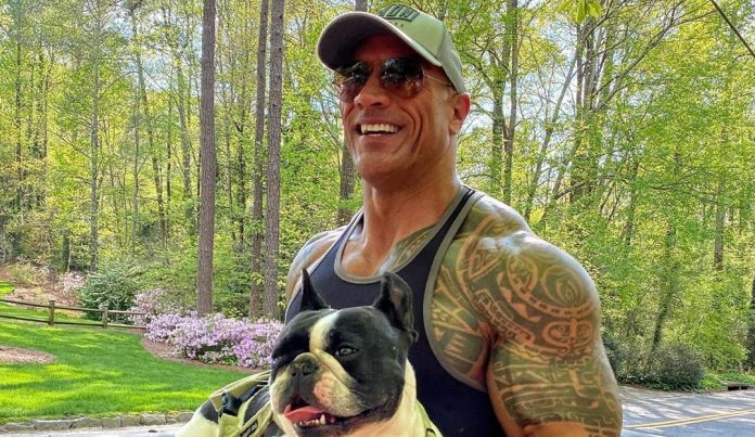 Dwayne The Rock Johnson Net Worth 2020