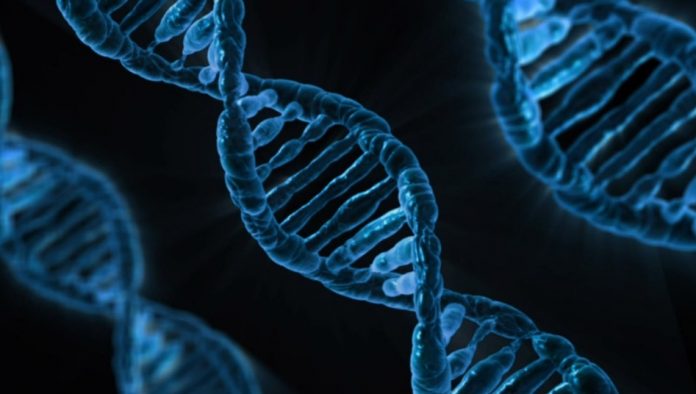 Stem Cell Therapy