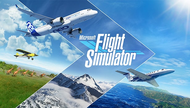 flight simulator 2