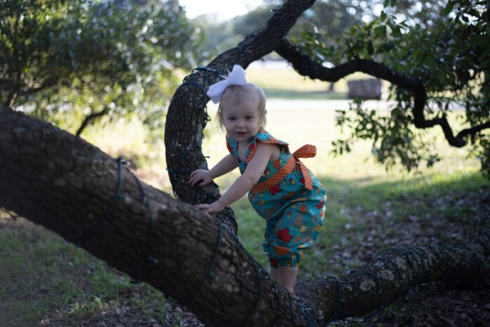 Tree Climbing