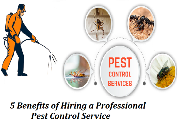 5 Benefits of Hiring a Professional Pest Control Service
