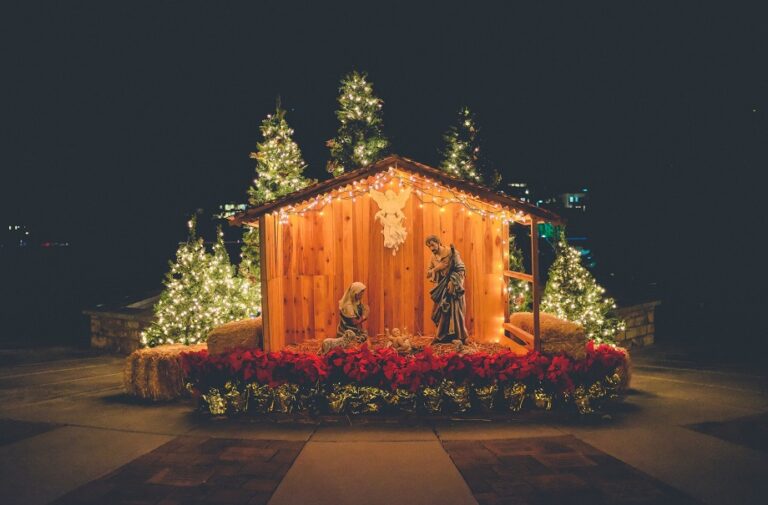 Best Outdoor Christmas Lights