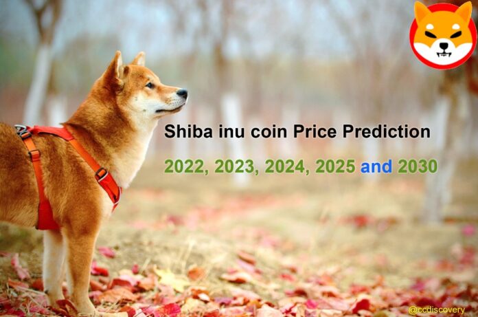 Shiba-Inu Coin Price Prediction