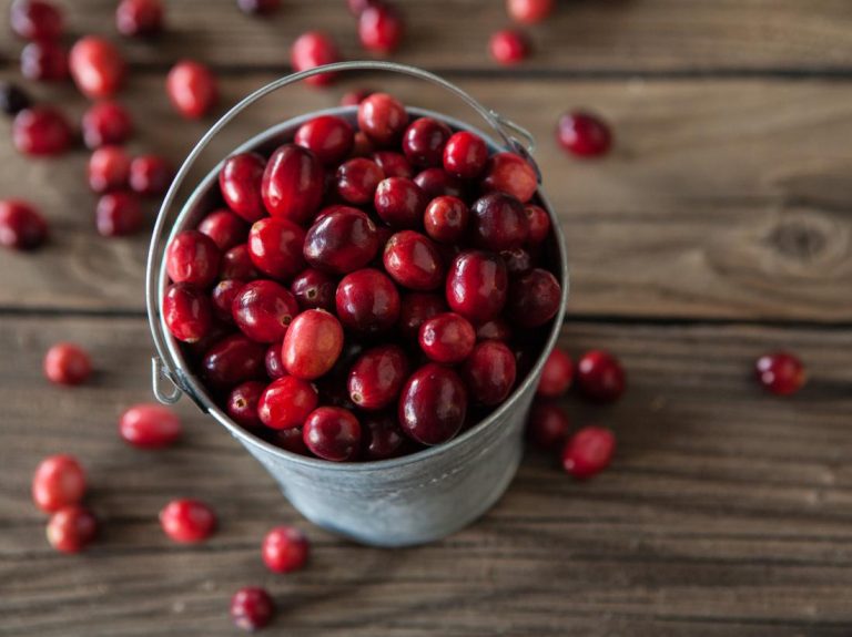 cranberries-in-a-bucket