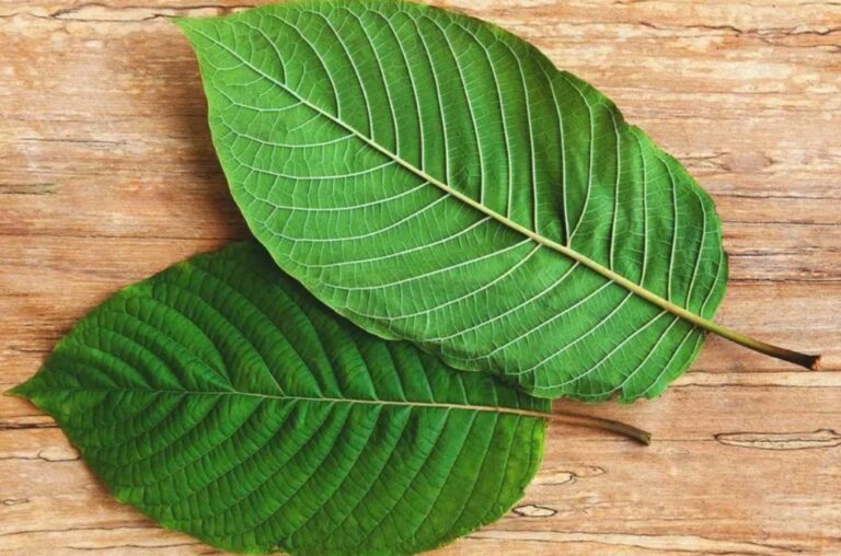 How To Make Kratom Strains Stronger