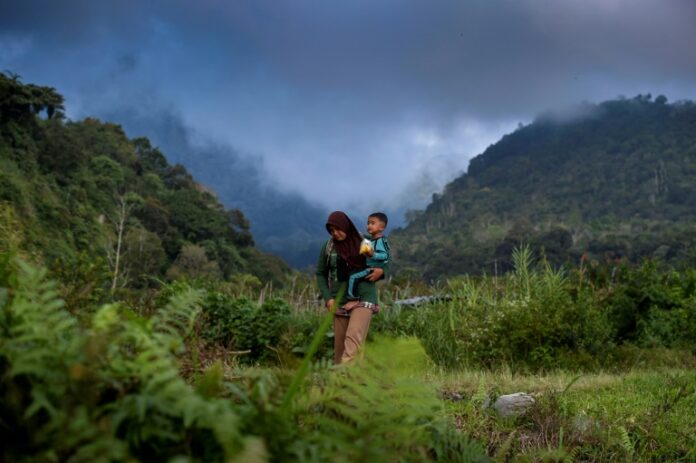 The country home to Asia's largest expanse of rainforest reported