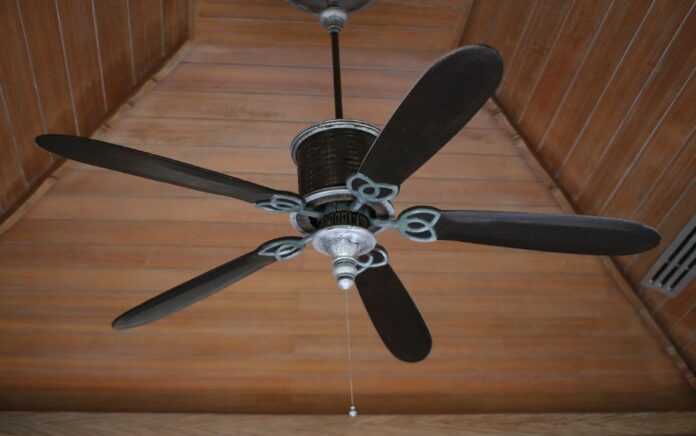 Ceiling Fans Worth