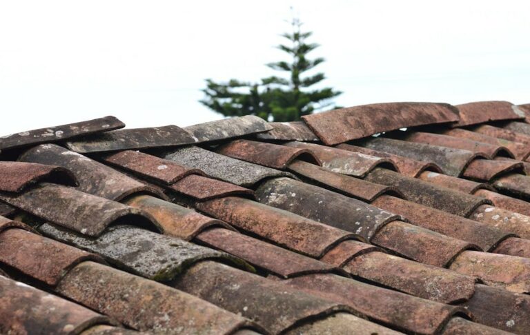 Eco-Friendly Roofing Options